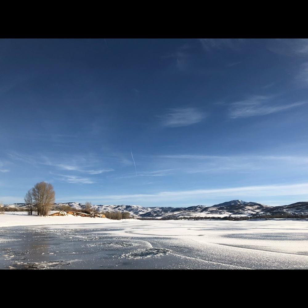 Meet your Posher, Diego